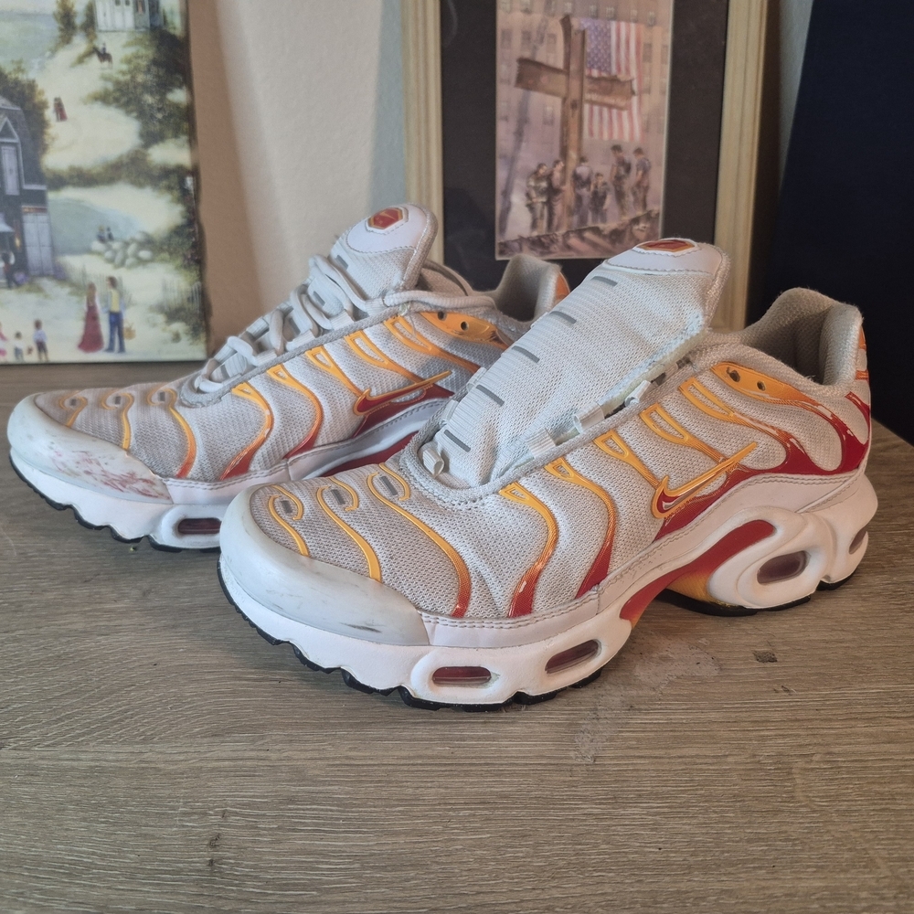 Nike Air Max Plus Sneakers(One shoelace is missing and it needs to be cleaned)